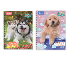 Catalogo