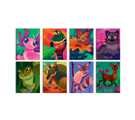 Catalogo