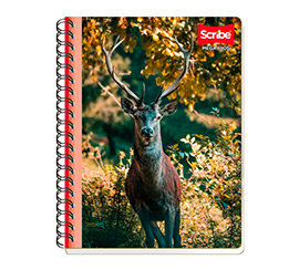 Catalogo