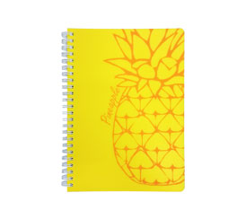 Catalogo